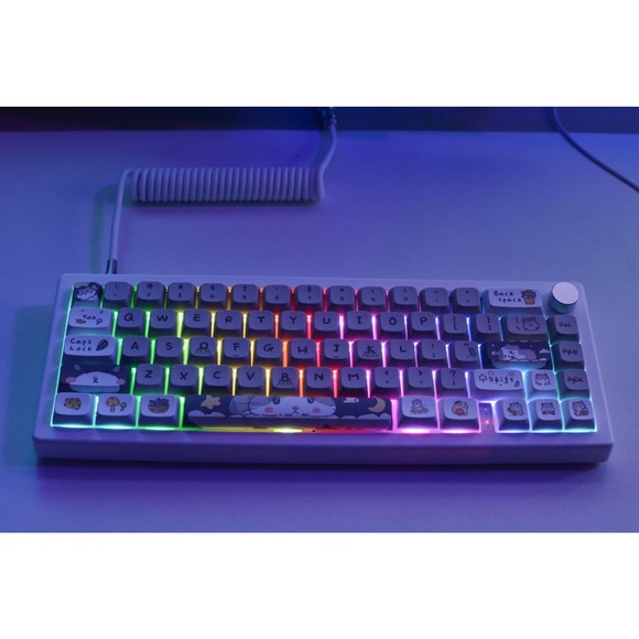 Custom modded mechanical keyboard GMK67 Lubed thocky hot-swap RGB Mouse Themed - Picture 8 of 9